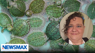Turtle identifying person give the left mental health advice: Chris Plante