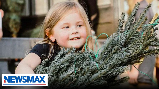 Non-profit selling Christmas trees to help kids