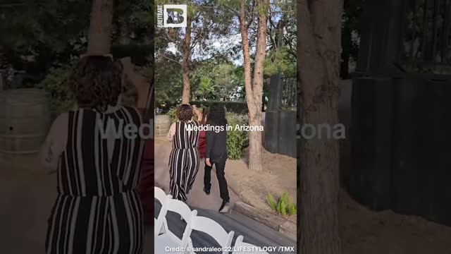 People Gasp as Fearless Woman Removes Snake from Wedding