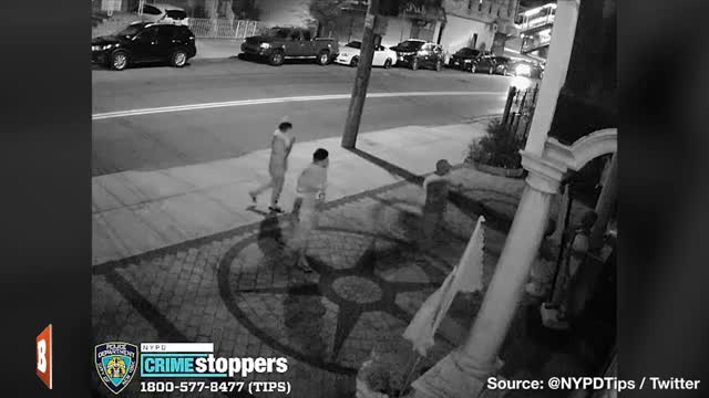NYC Gandhi Statue Toppled by Vandals