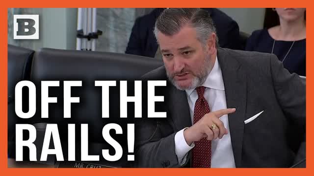 Hearing Goes Off the Rails as Cruz Won't Let Democrat Get Away with Blaming Their Shutdown on GOP
