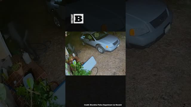Brazen Blazin: Arsonist Sprays Gasoline on Camera Before Torching Woman's House