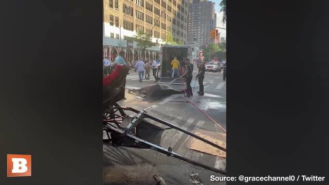 Carriage Horse Collapses, NYPD Help Save Its Life