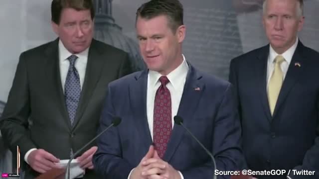Sen. Young: Biden Budgeting to "Quickly Stamp the Hands" of Border Crossers