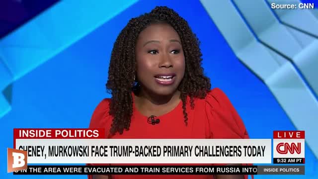 Corporate Media Copes with Likely Loss for Liz Cheney After Slobbering Love Affair