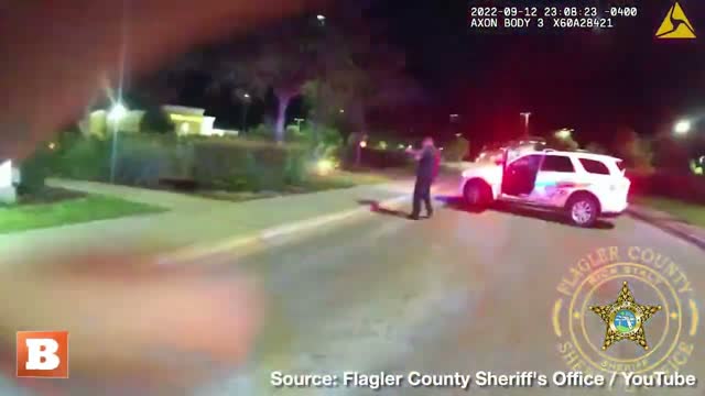 Suspected Catalytic Converter Thieves Caught at Gunpoint After Crashing "Police-Looking" Car