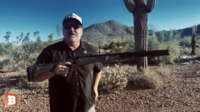 AWR Hawkins: Stoeger XM1an Airgun Perfect for Varmints, Camping, or Enjoying 2A