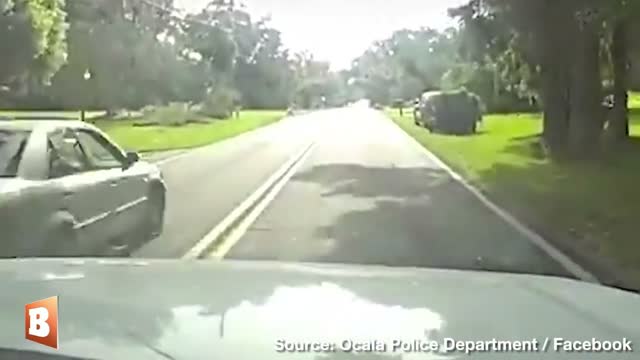 Car Thief Smashes Through Fences in Wild Police Chase
