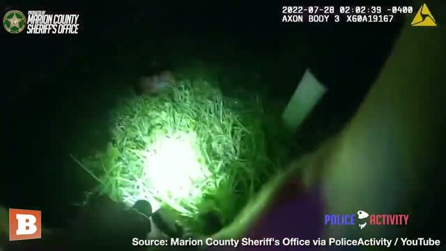 K-9 Turns Burglar Into Chew Toy After Fleeing Police