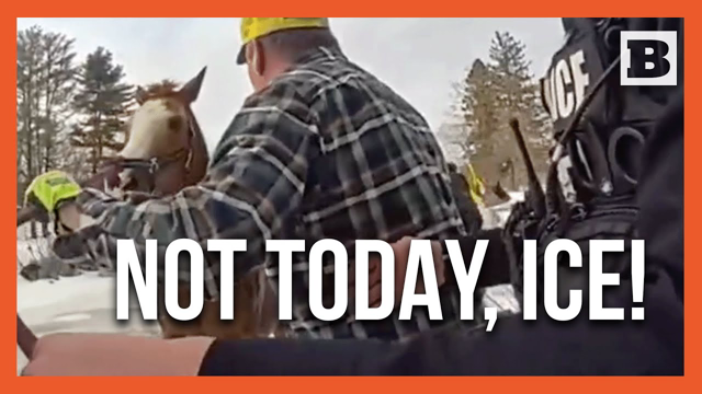 Race Against the Freeze: Saratoga Springs Officers Pull Poor Horse from Icy Pond