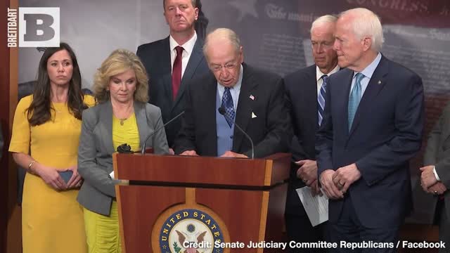Biden Spying! Senator Reveals Jack Smith's BlueAnon Fever-Swamp Obsession