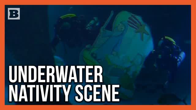 Woah! Divers Brave Tank of Sharks to Install Nativity Scene in Aquarium