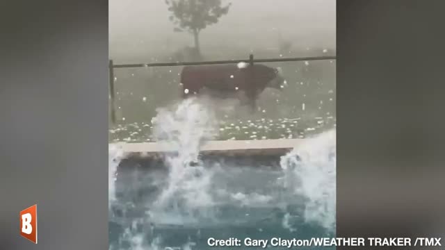 Poor Moo!! Cow Runs as It's PELTED with Large Balls of Hail