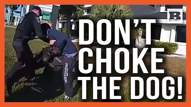 DON'T CHOKE THE DOG! Suspect Tased After CHOKING Police K-9