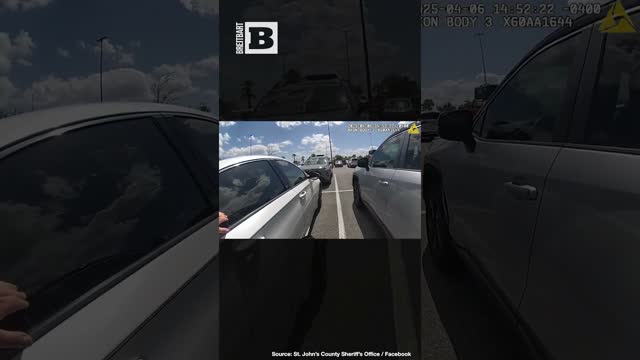 Dog Rescue! Florida Sheriff Deputy Breaks Window on Locked Car During Scorching Day