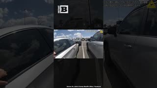 Dog Rescue! Florida Sheriff Deputy Breaks Window on Locked Car During Scorching Day