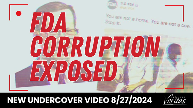 FDA CORRUPTION EXPOSED. New Undercover Video, 8.27.2024