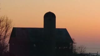 Simply The Best - Billianne [Official Visualizer]