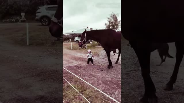 cute baby with horse #youtube #funny #youtube #shorts #trendingshorts