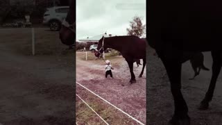 cute baby with horse #youtube #funny #youtube #shorts #trendingshorts