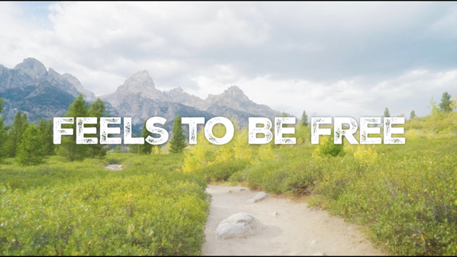 Steven Malcolm "Feels To Be Free" ft. Sanctus Real (Official Lyric Video)
