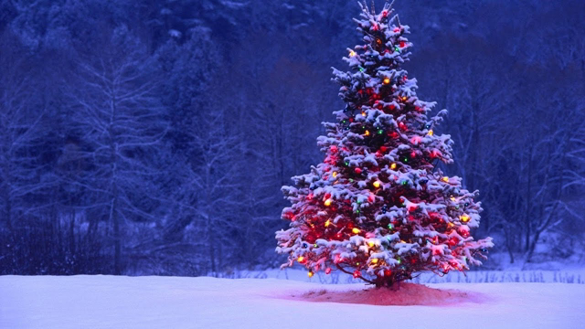 Rockin' Around The Christmas Tree (OFFICIAL TRAP REMIX)