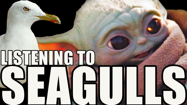 Baby Yoda Listening to 'Seagulls! (Stop it Now)' Bad Lip Reading | Disney Star Wars: The Mandalorian