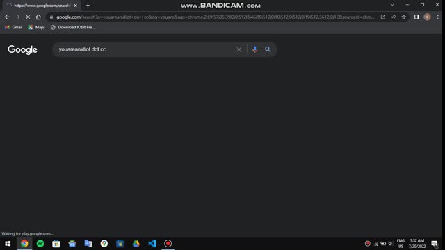 i runn'd  youareanidiot.cc on my touch screen lenovo laptop , recorded with bandicam, the most stupid'est virus in the world