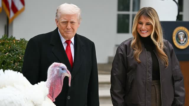 Trump Pardons 2 Turkeys in Thanksgiving Tradition