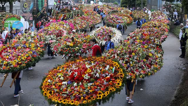 LIVE: Colombia's Medellin City Hosts Colorful Flower Parade