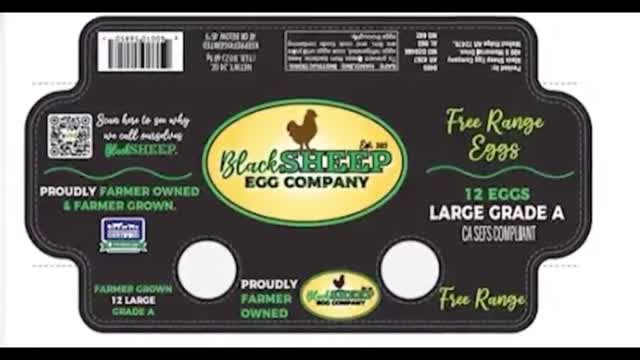 6.7 Million Eggs Recalled After FDA Detects Salmonella Contamination