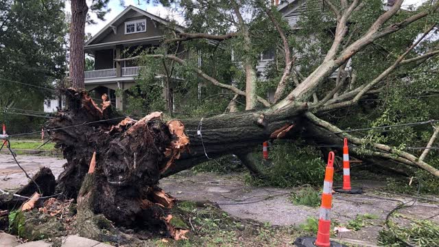 LIVE: New Orleans Marks 20 Years Since Hurricane Katrina