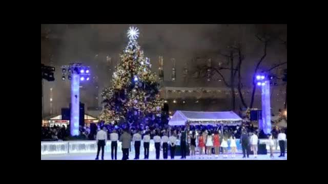NYC Kicks Off Christmas With Bryant Park Tree Lighting