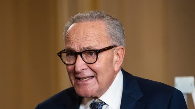 LIVE: Schumer, Senate Democrats Hold Press Briefing on 3rd Day of Shutdown