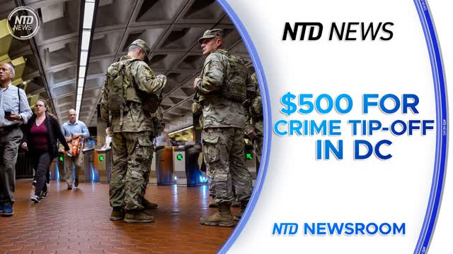 NTD Newsroom Full Broadcast (Aug. 20)