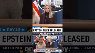 Rep Luna: 1st Phase of Epstein File Release a 'Complete Disappointment'