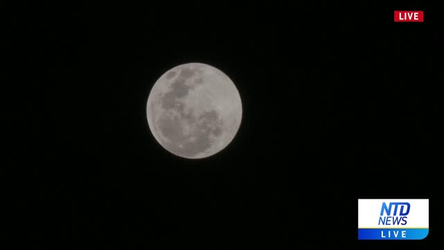 LIVE: Supermoon Lights Up Skies Across South America