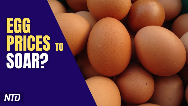 Bird Flu Sends Egg Prices Soaring; New Bills Aim to Boost Domestic Clean Energy | NTD Business
