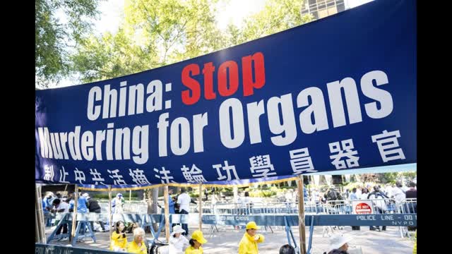 Global Lawmakers Pledge to Push Ban on Forced Organ Harvesting