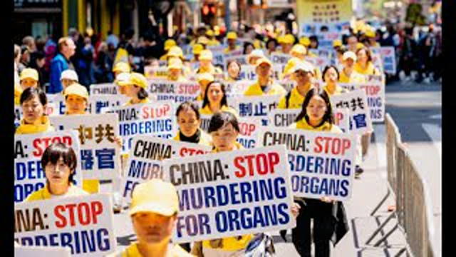 ‘The Escalation of Human Rights Violations in the 21st Century’