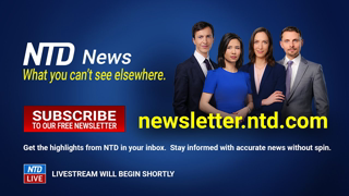 NTD Business News (Apr. 5)