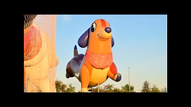 Macy�s Celebrates Thanksgiving Eve Balloon Inflation 2025