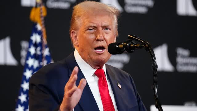 Panel Weighs Trump Immigration Pause