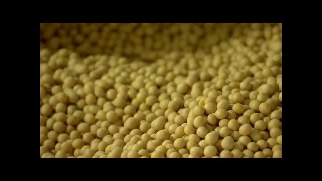 Deals on Soybeans, Farmer Aid Coming Soon: USDA
