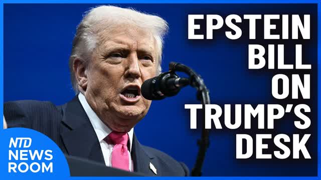 What�s Next Once Trump Signs Epstein Bill?; Operation Swamp Sweep Announced | NTD Newsroom (Nov. 19)