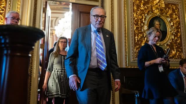 Sen. Schumer Faces Heat From Democrats
