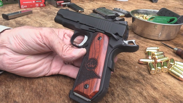 Dan Wesson Guardian 1911 .45 ACP