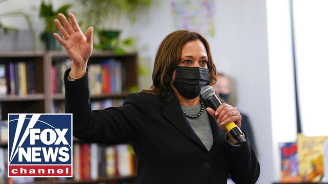 Dana Perino: Bizarre Kamala video with child actors straight out of 'Veep' | Guy Benson Show