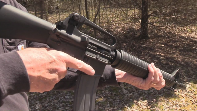 Colt M16  Dissipator  Woods Walk