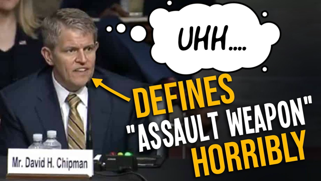 ‘I support a ban’: Biden’s ATF nominee BOTCHES ‘assault weapon’ questioning